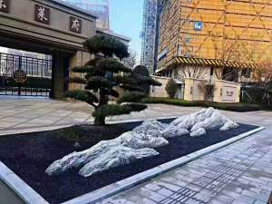 景观设计